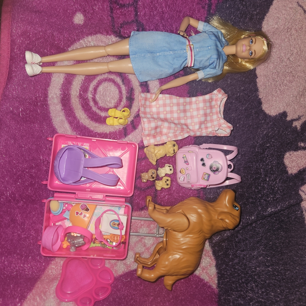 Fashion Doll with Accessories - Blue and Pink
